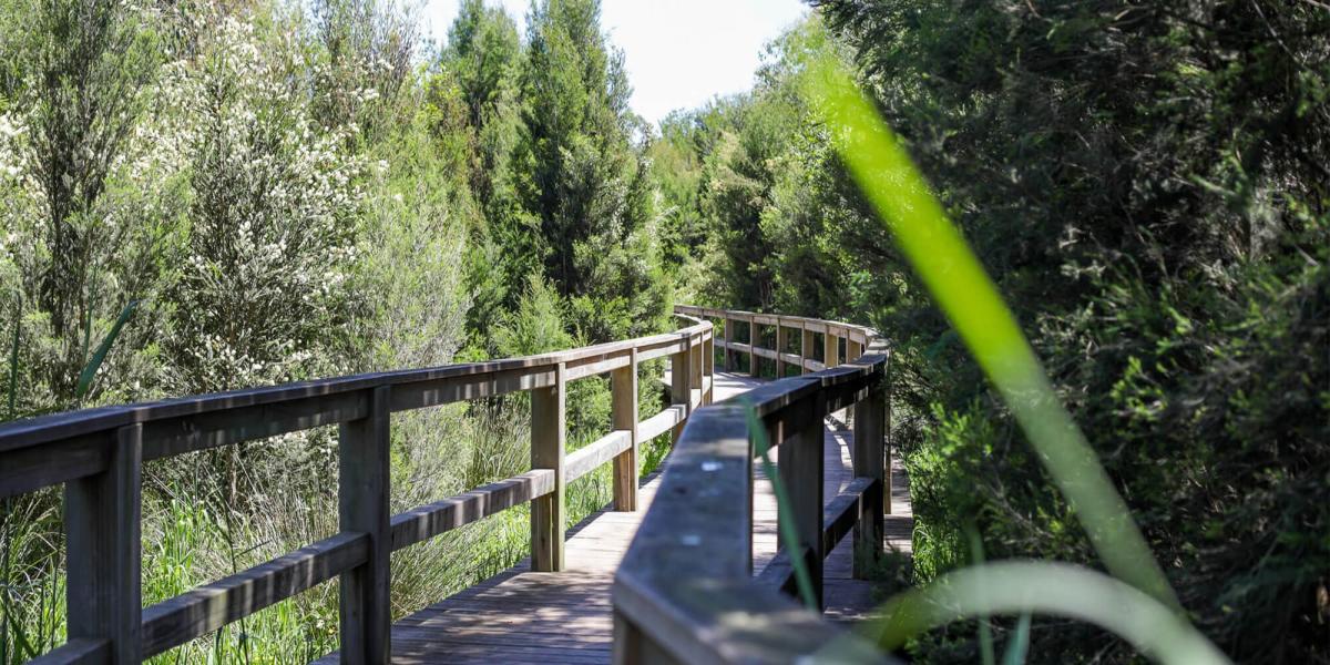 Emberwood Warragul