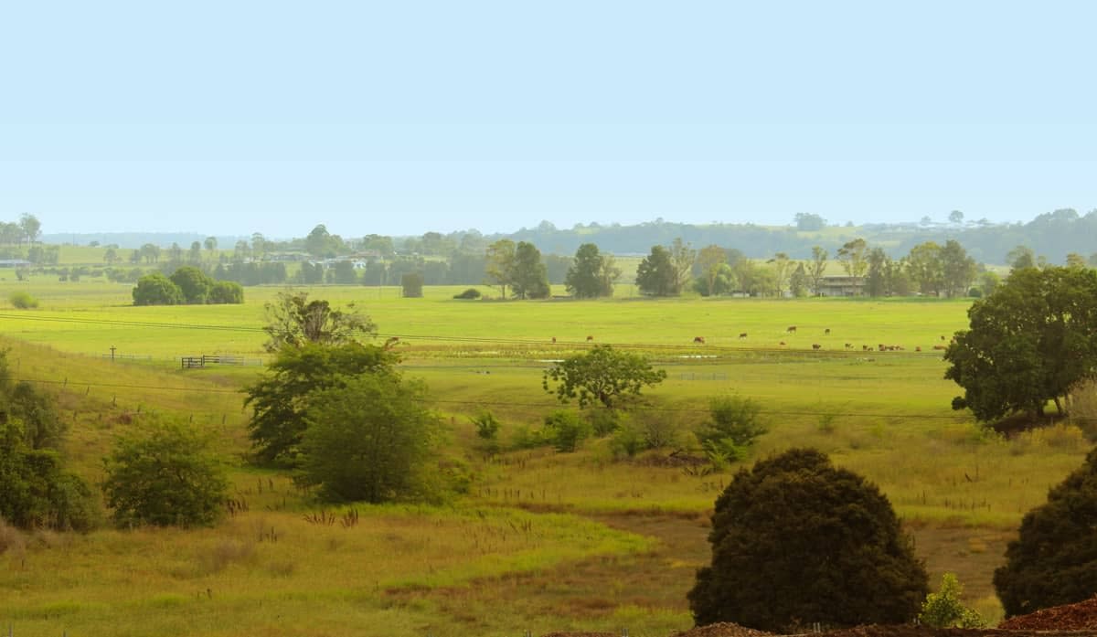 Wallis Meadows Estate
