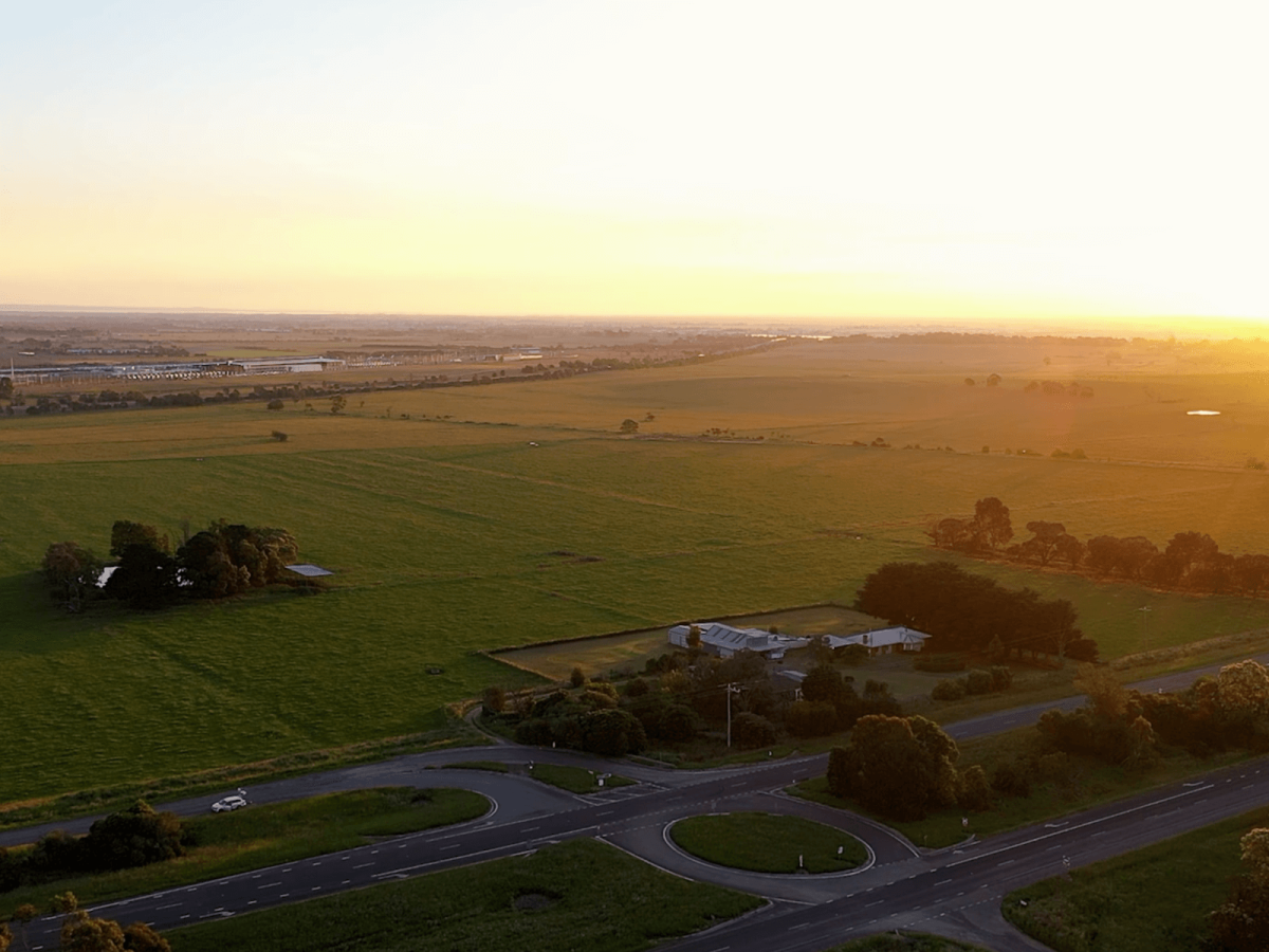 Ridgelea