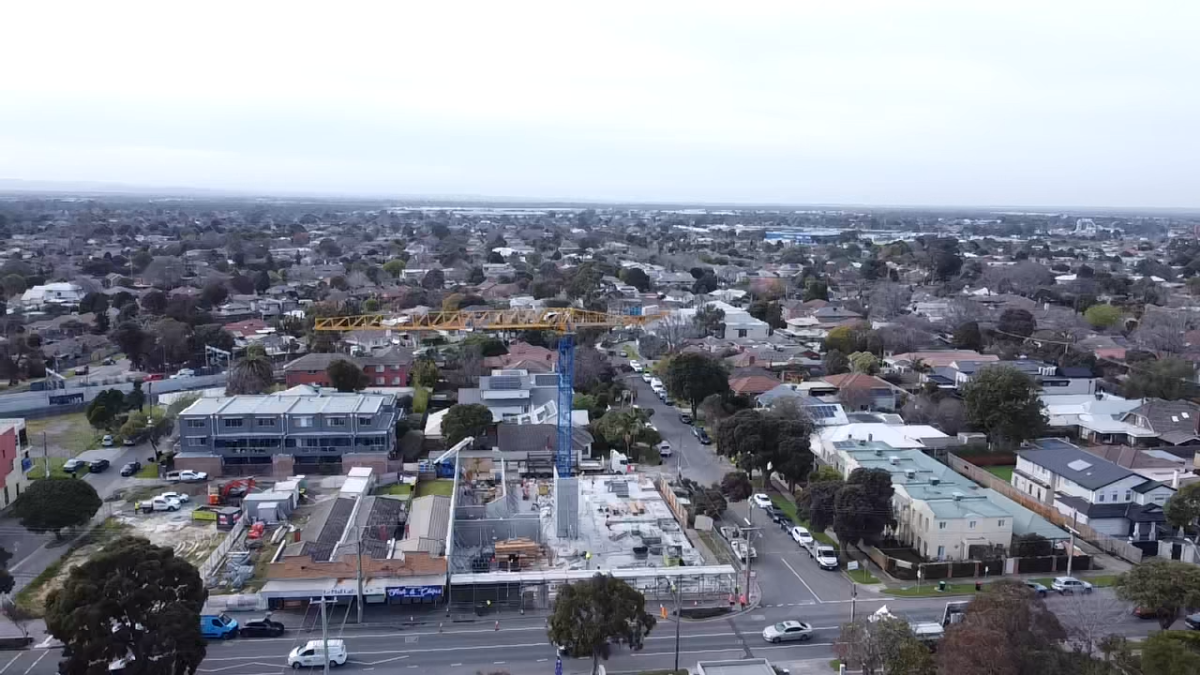 Banksia, Cheltenham