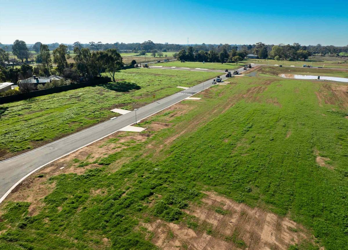 Blue Gum Fields Blue Gum Fields