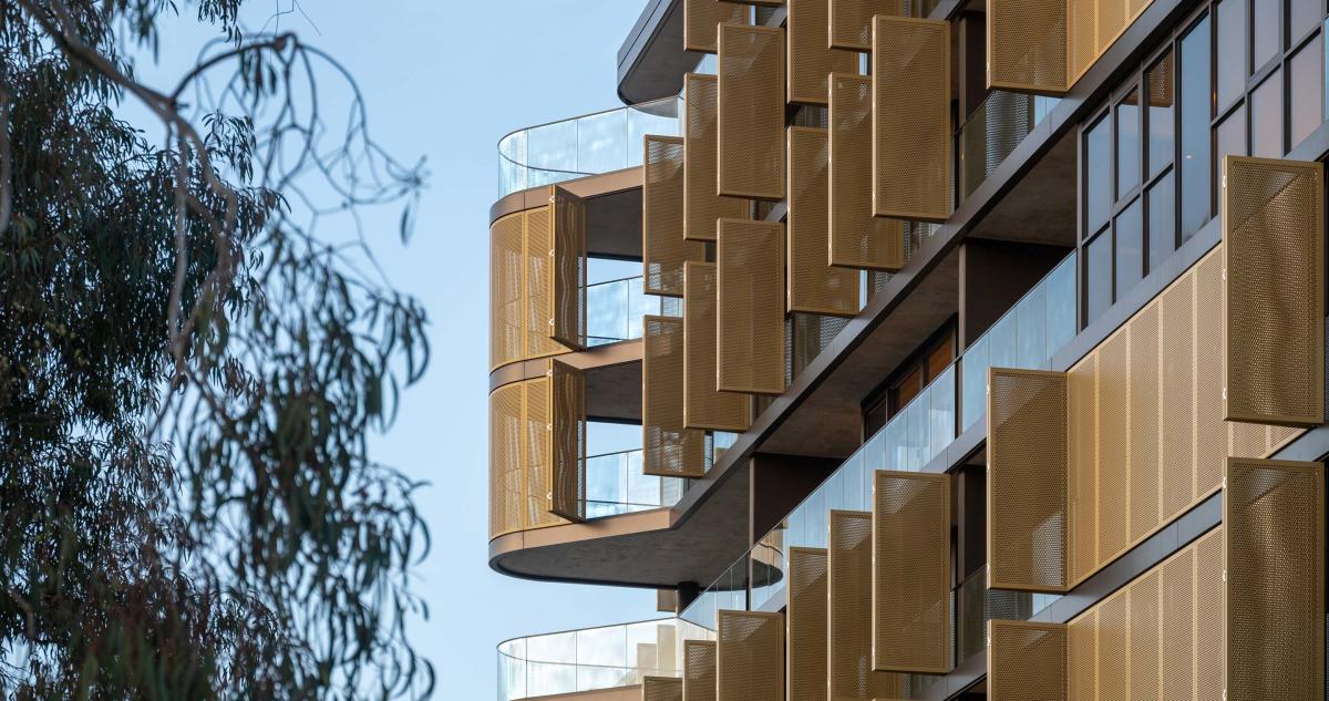 Kashmir, Dickson Kashmir, Dickson