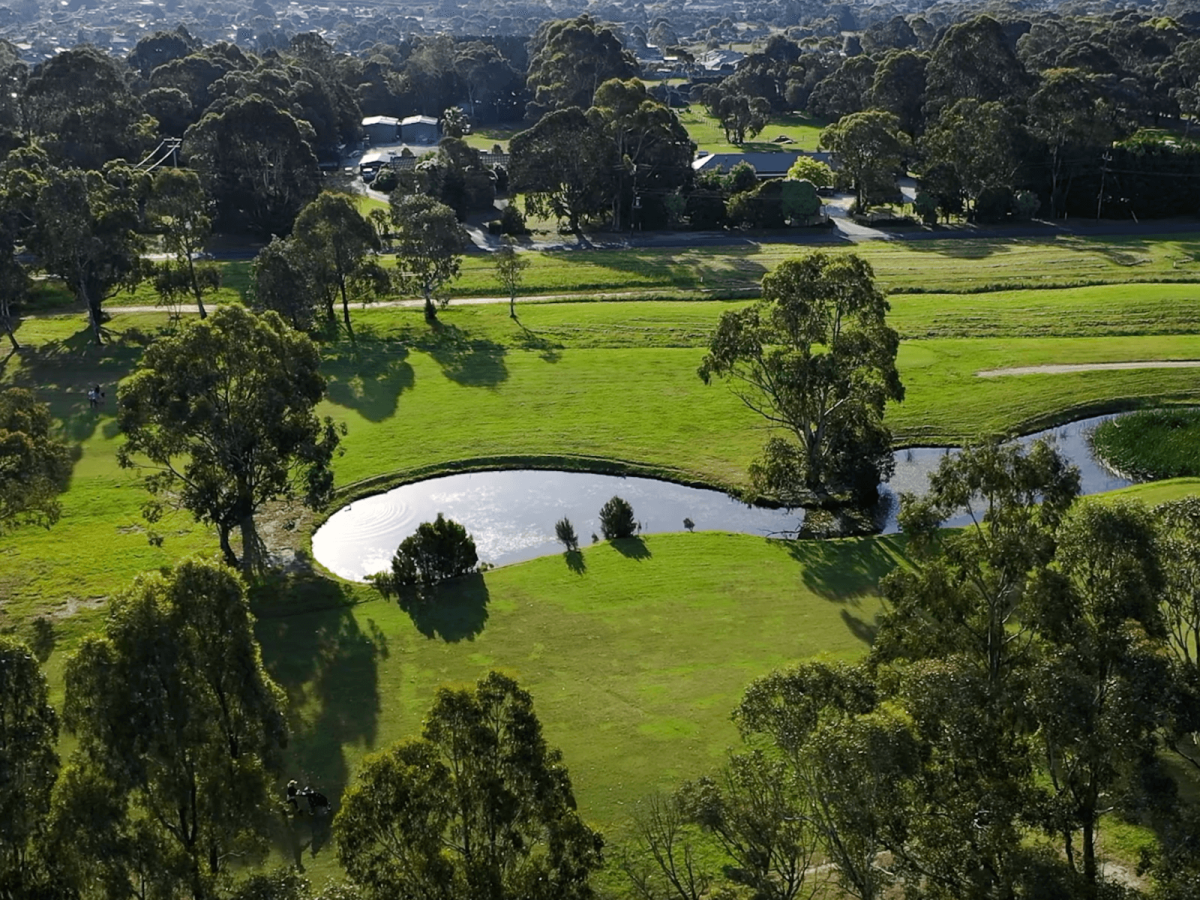 Ridgelea
