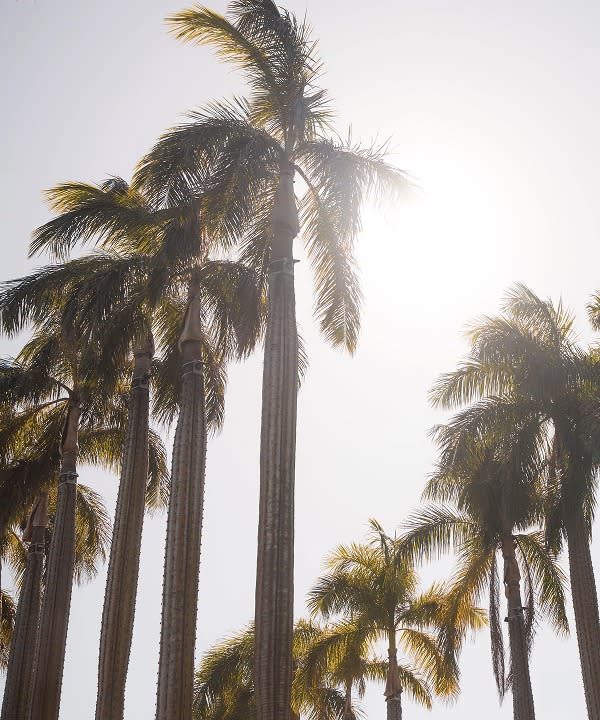 21 Broadbeach Boulevard, Broadbeach 21 Broadbeach Boulevard, Broadbeach