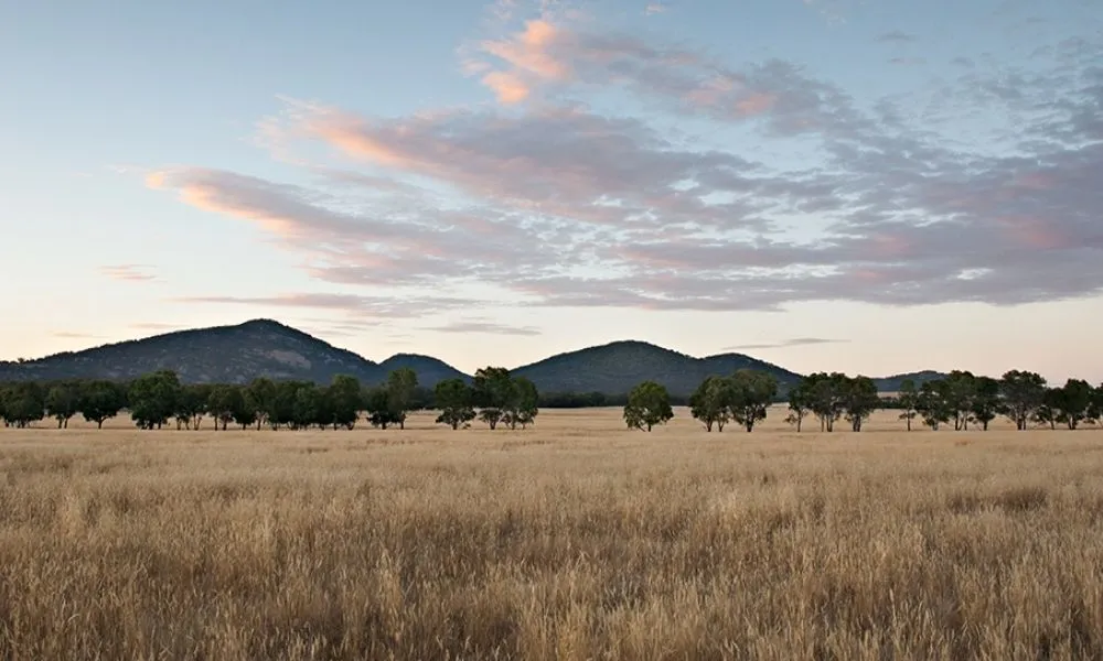 Hamlan Homes, VIC
