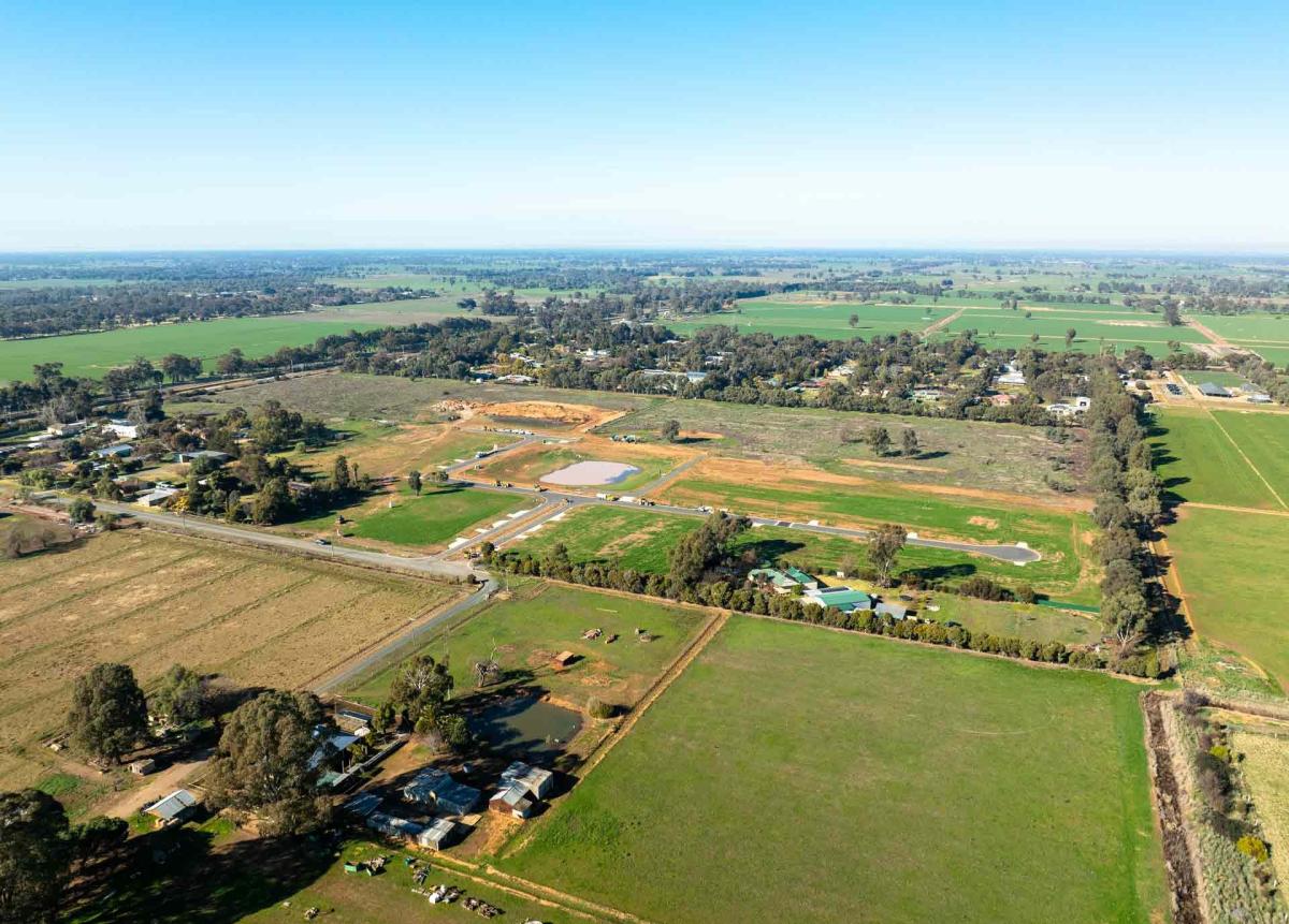 Blue Gum Fields Blue Gum Fields