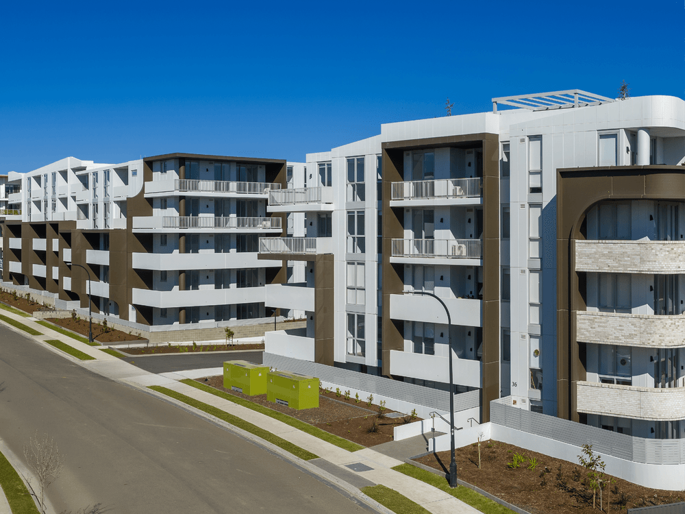 Jasmine, Schofield Gardens by ALAND