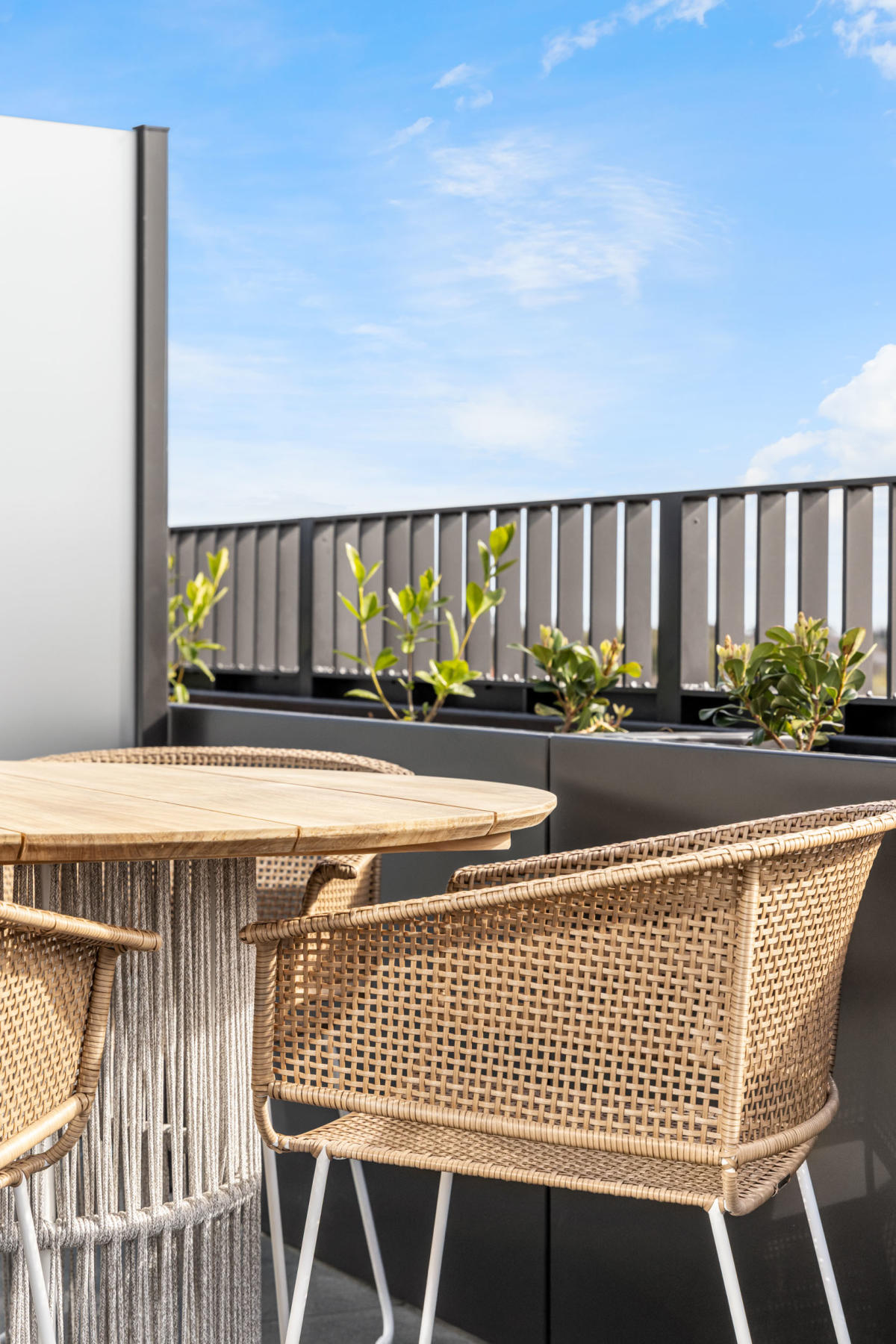 Rosella, Murrumbeena