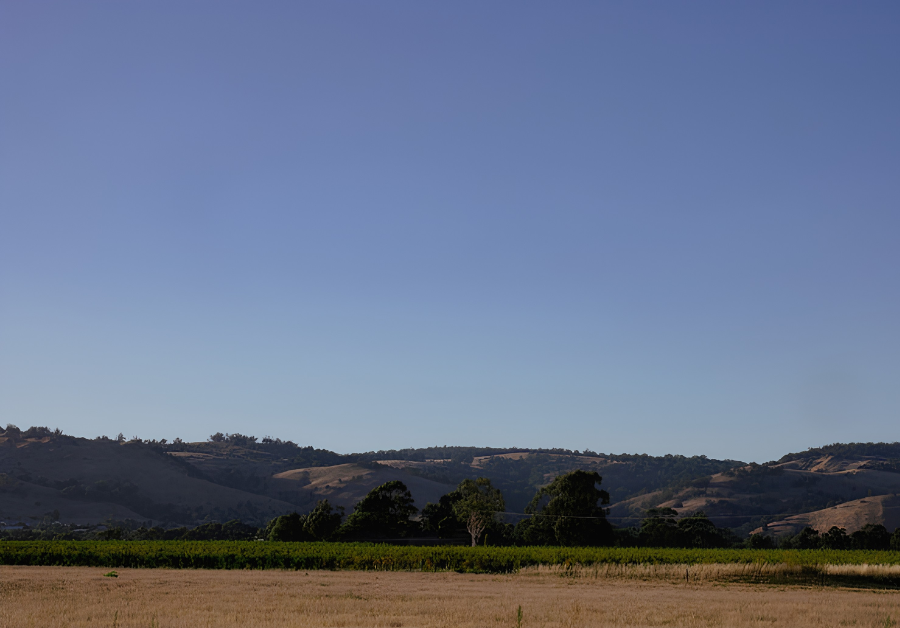 Gembrook Gembrook