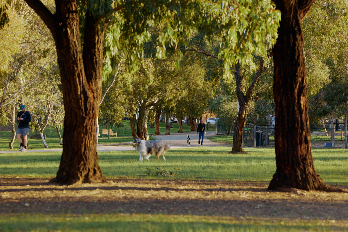 ParkLife 2, Brunswick ParkLife 2, Brunswick