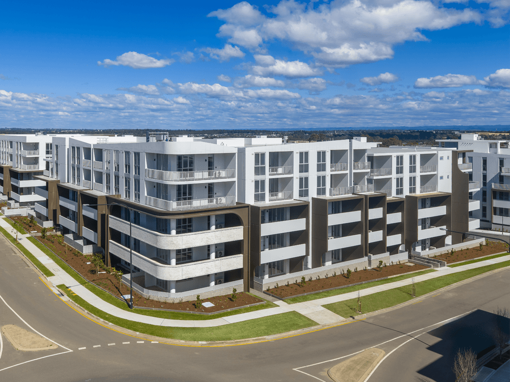 Jasmine, Schofield Gardens by ALAND