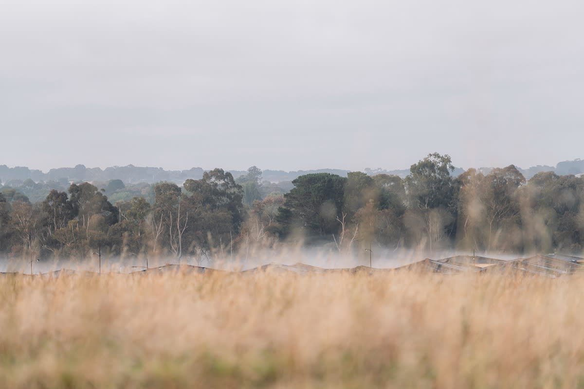 Flinders View Drysdale
