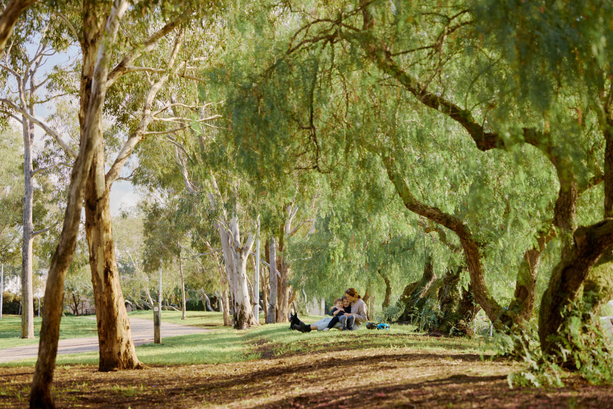 ParkLife 2, Brunswick ParkLife 2, Brunswick