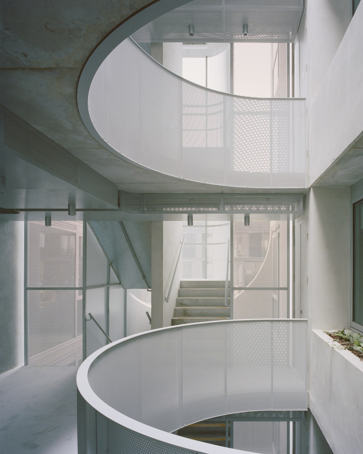 231 Napier Street, Fitzroy