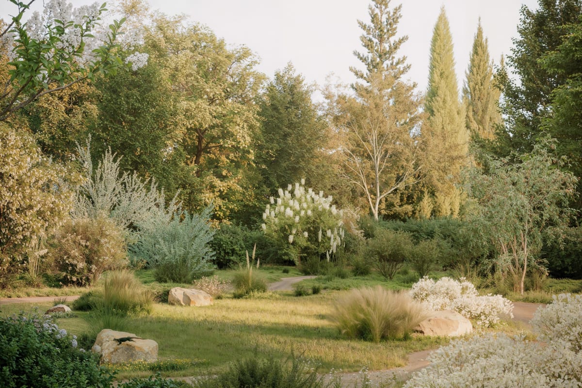 Elsternwick Gardens by Milieu