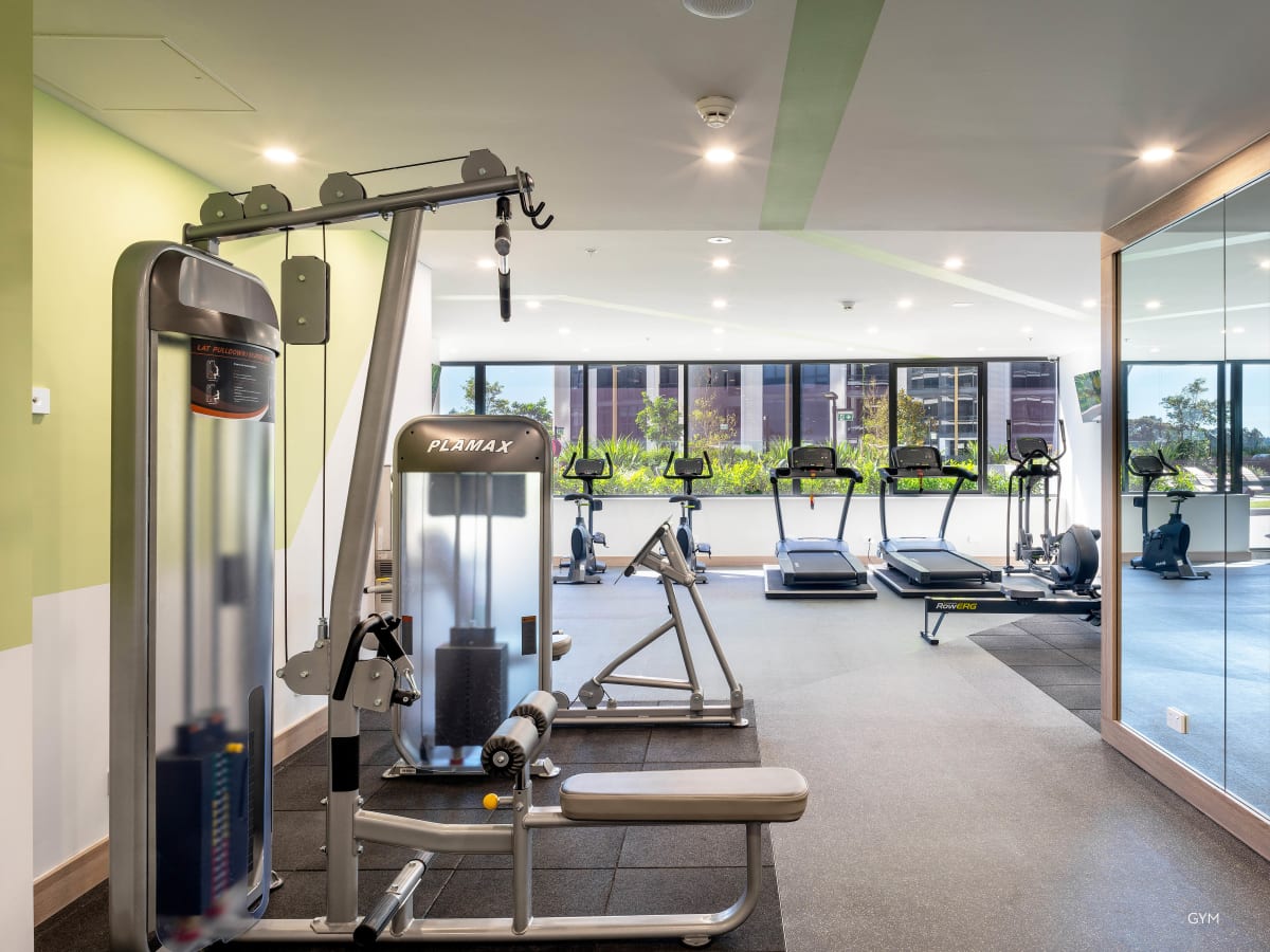 Pagewood Centro Uccello