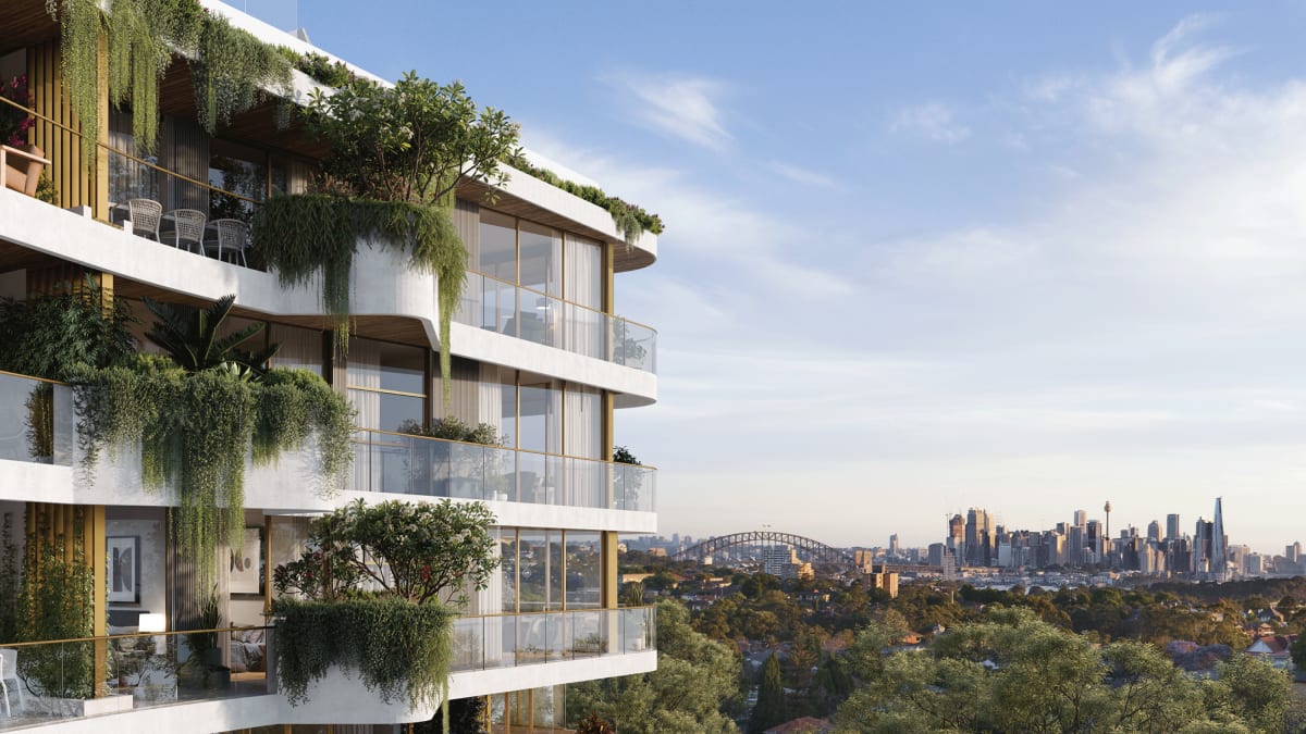 Akoya, Greenwich