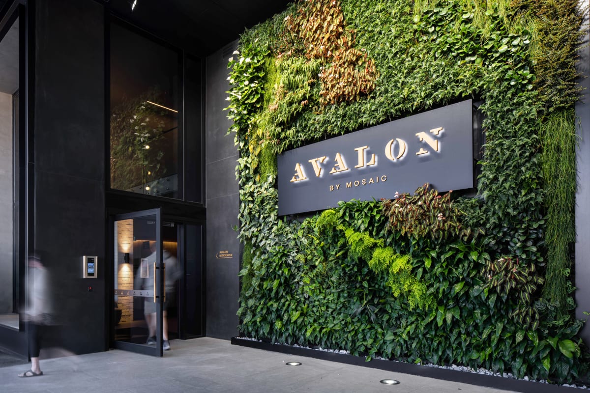 Avalon by Mosaic