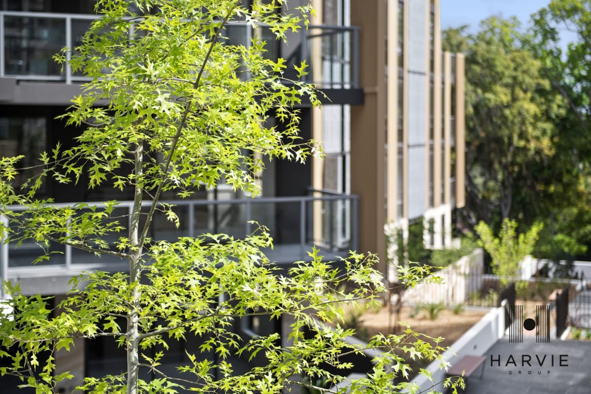 Cascade Gardens, Pymble