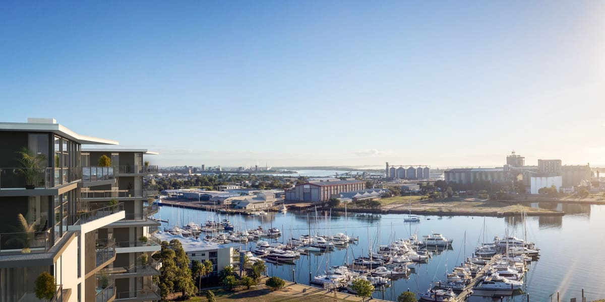 Stella on Hannell Stella on Hannell