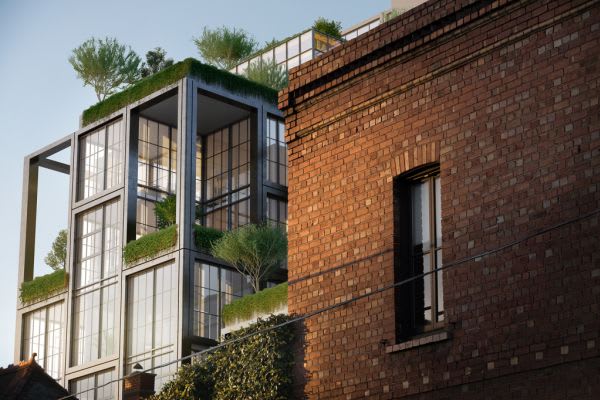 Victoria & Vine Victoria & Vine