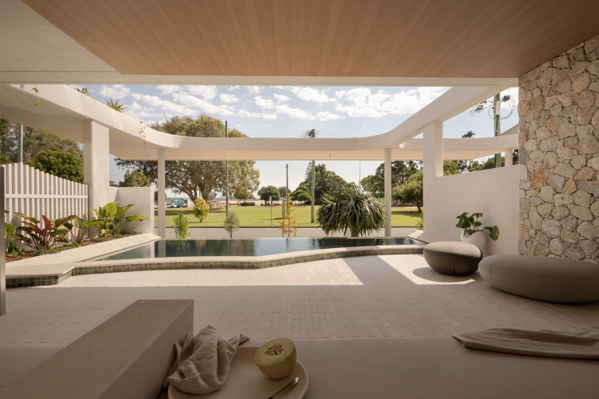 Cotton Tree by Mosaic