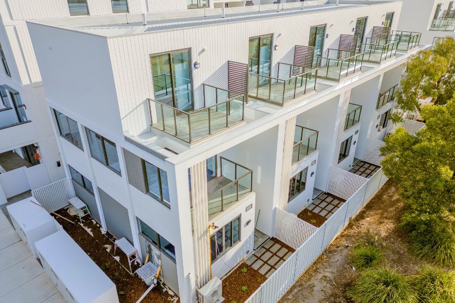 Cornus Oakleigh Cornus Oakleigh