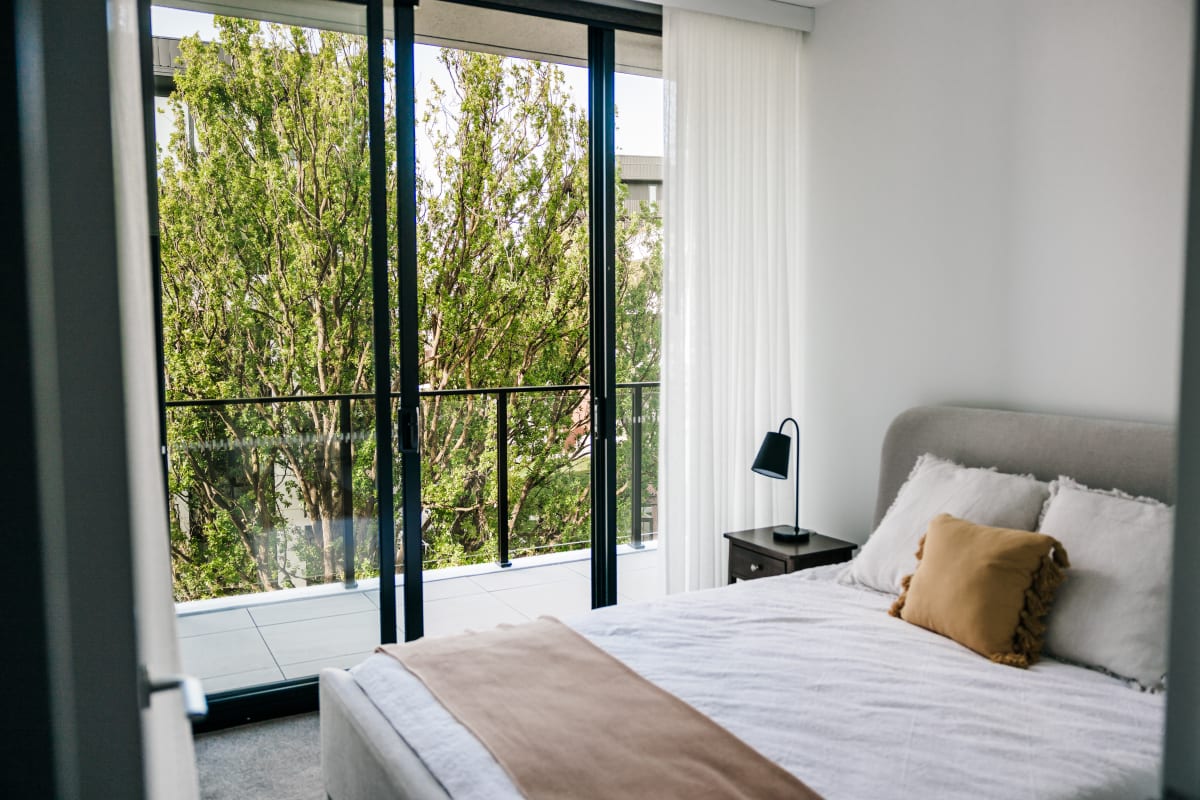 Renaissance Manuka
