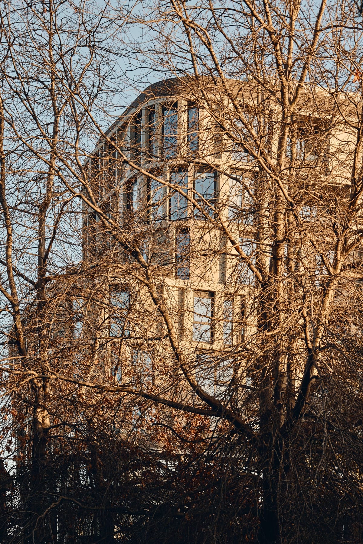 Fifty Eight Porter Street, Prahran