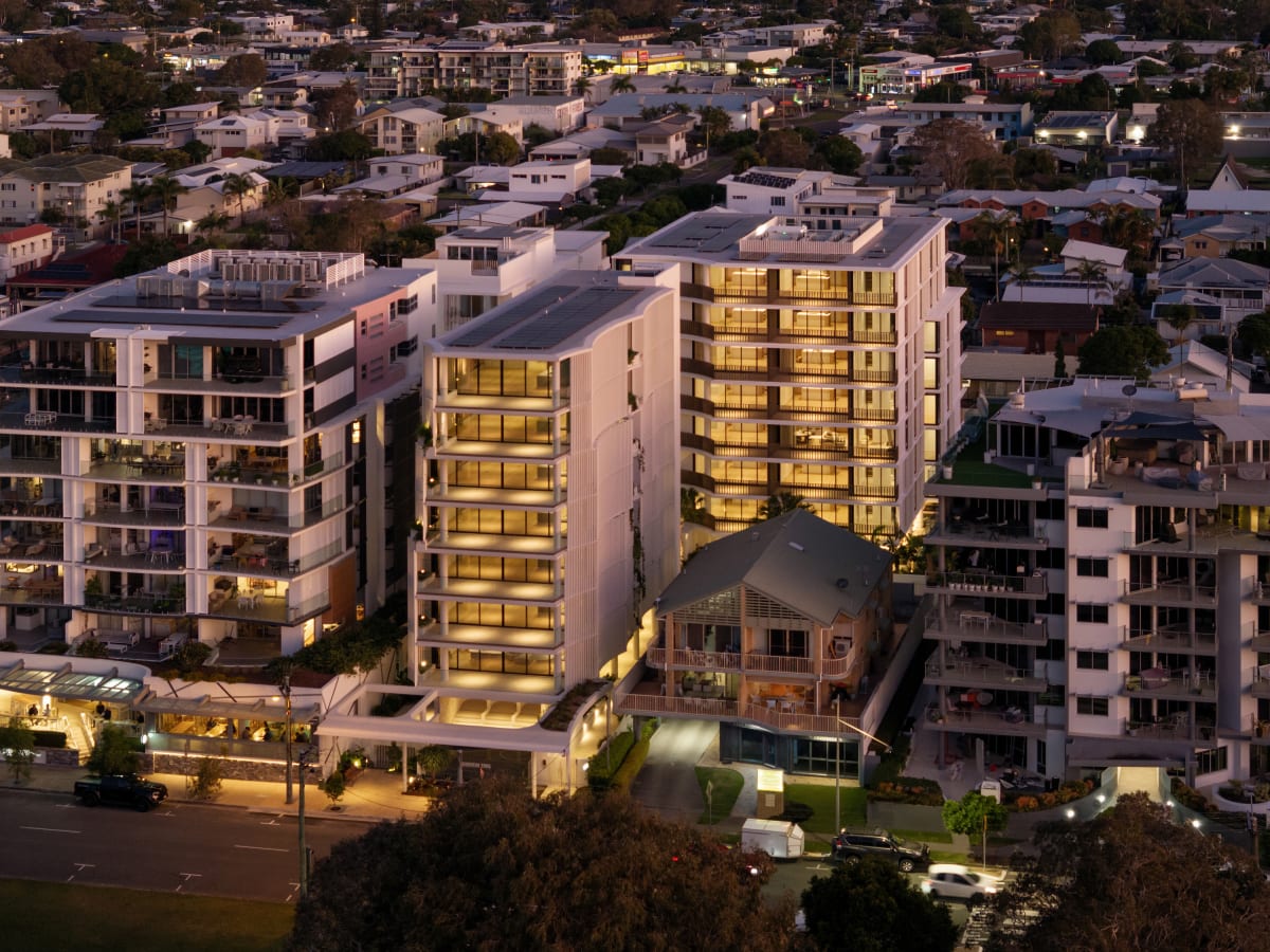 Cotton Tree by Mosaic