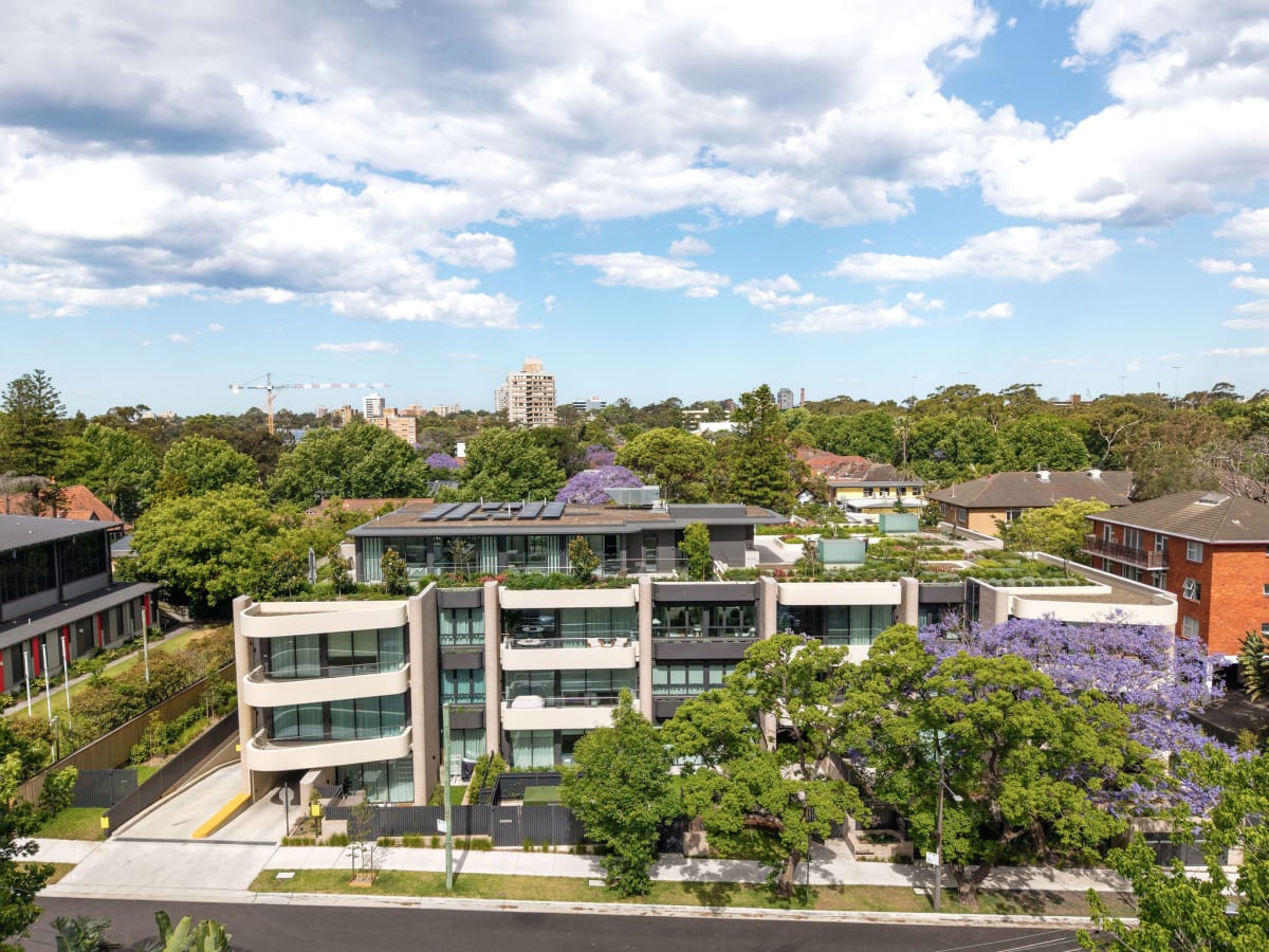 Koyo, Crows Nest Koyo, Crows Nest