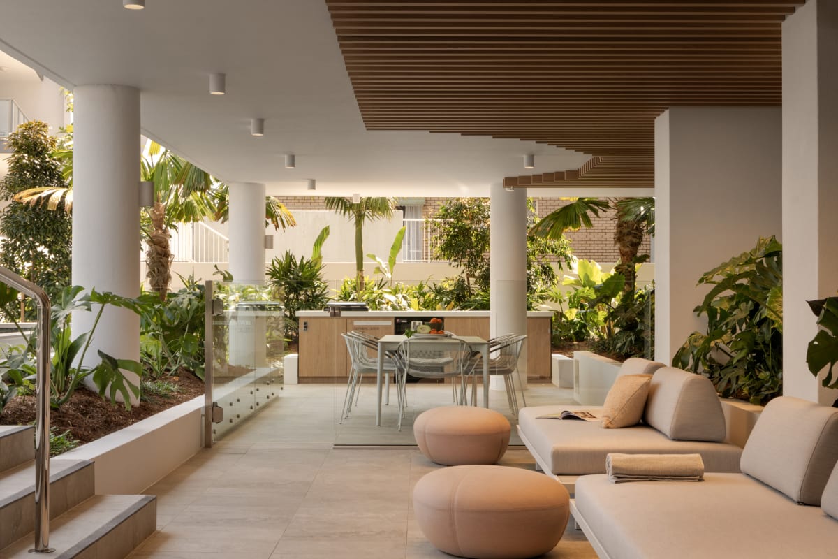 Cotton Tree by Mosaic