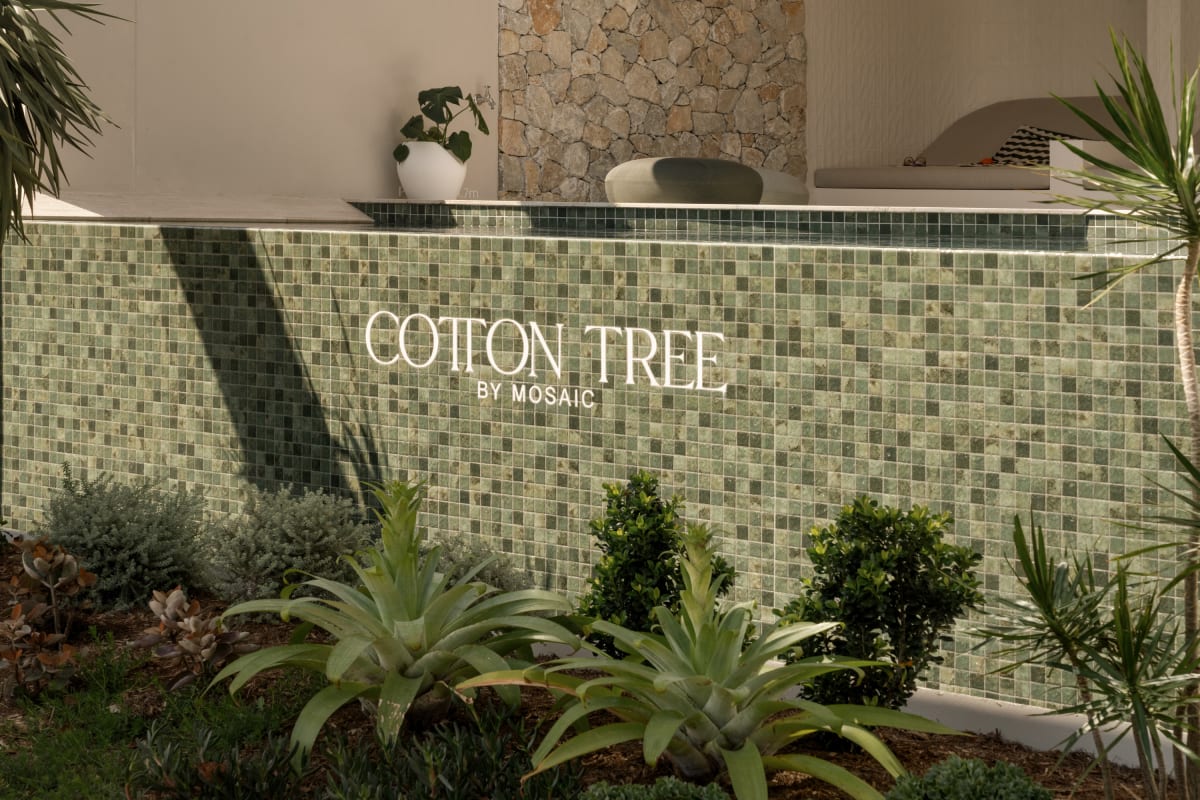 Cotton Tree by Mosaic