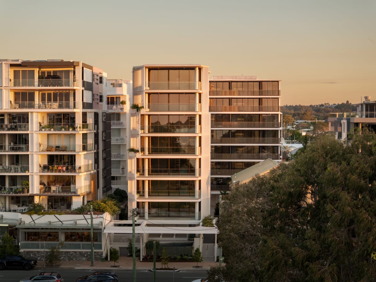 Cotton Tree by Mosaic