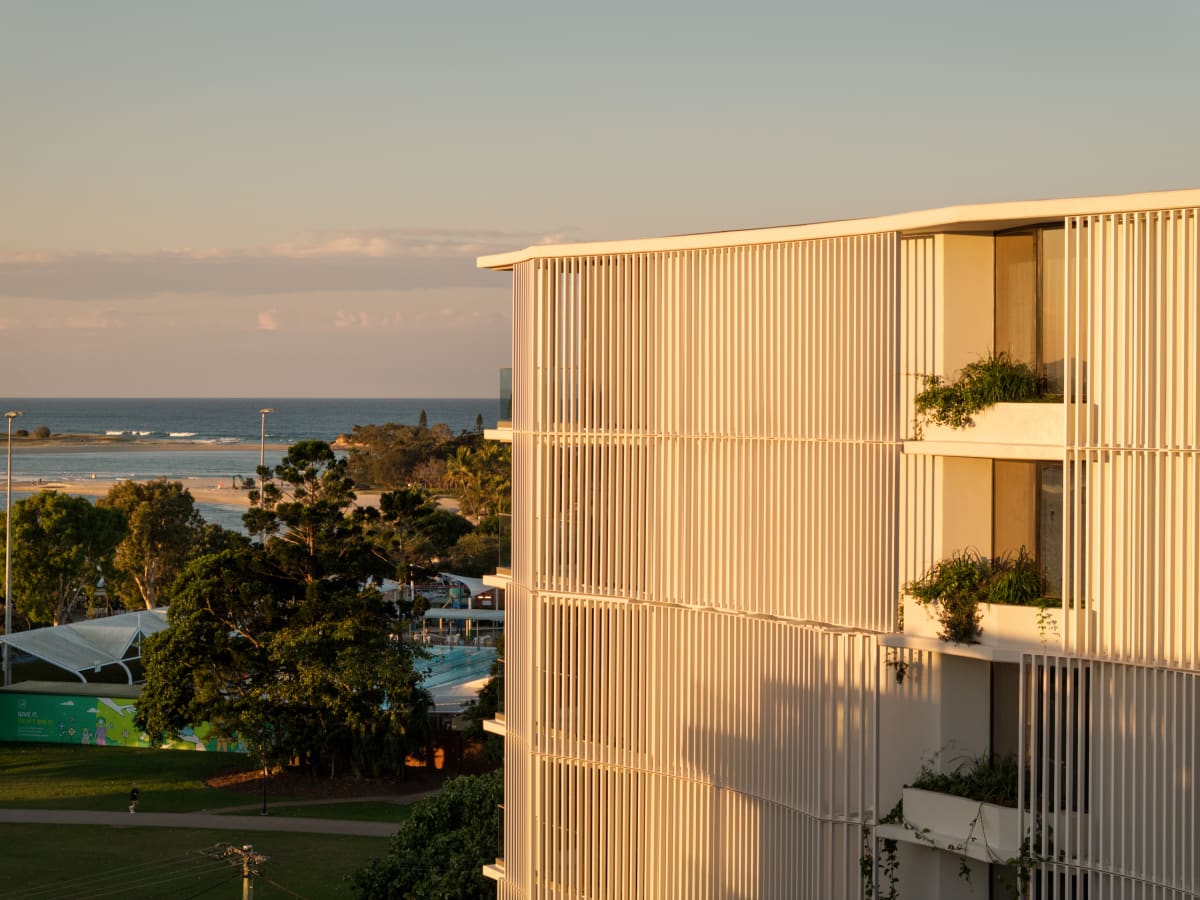 Cotton Tree by Mosaic