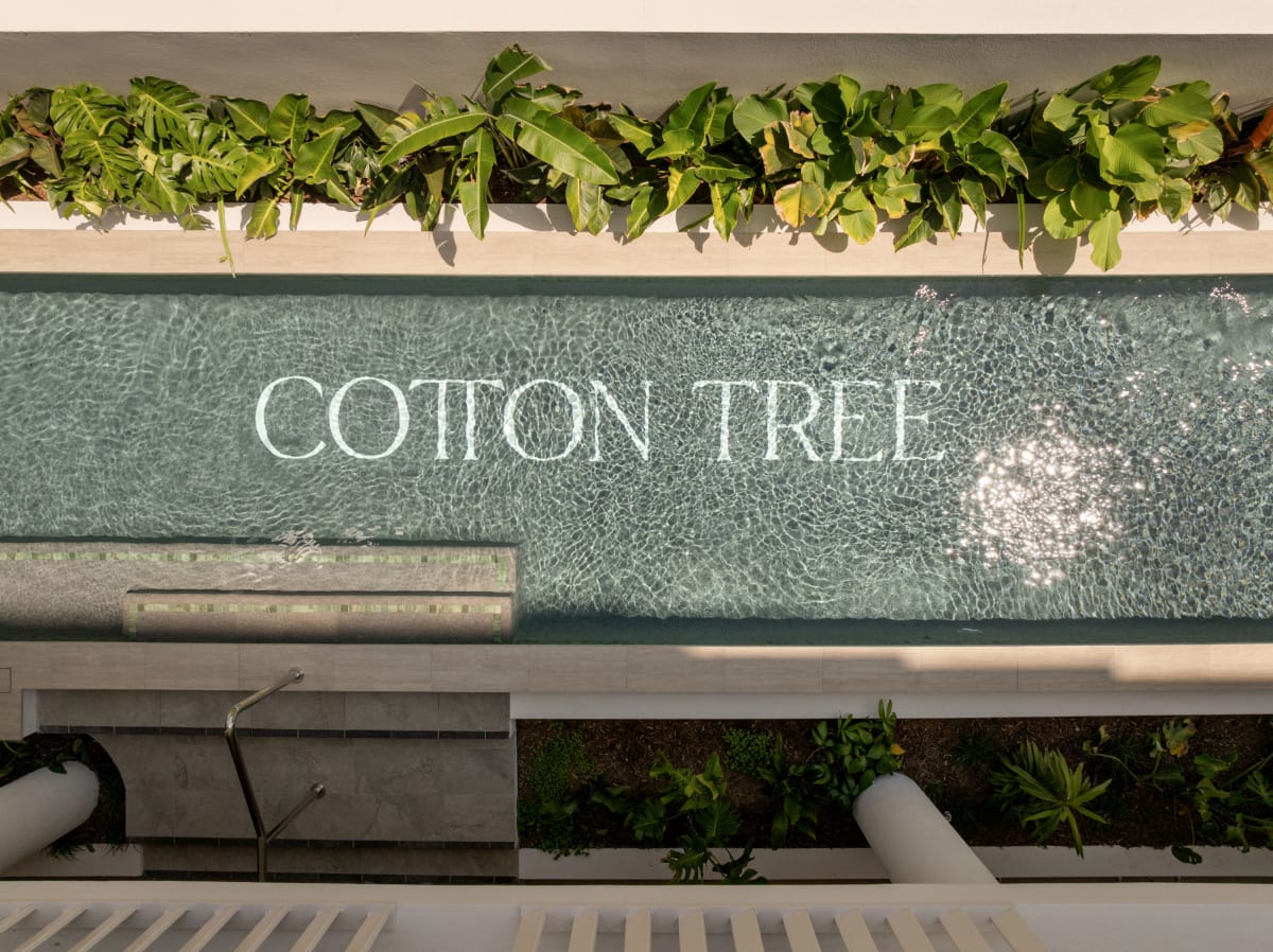 Cotton Tree by Mosaic