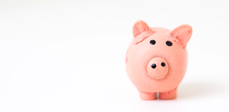 Why are project builders homes cheaper?
