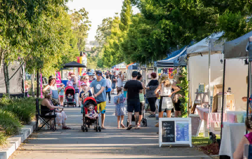 Suburb Property Profile: Springfield Lakes QLD 4300