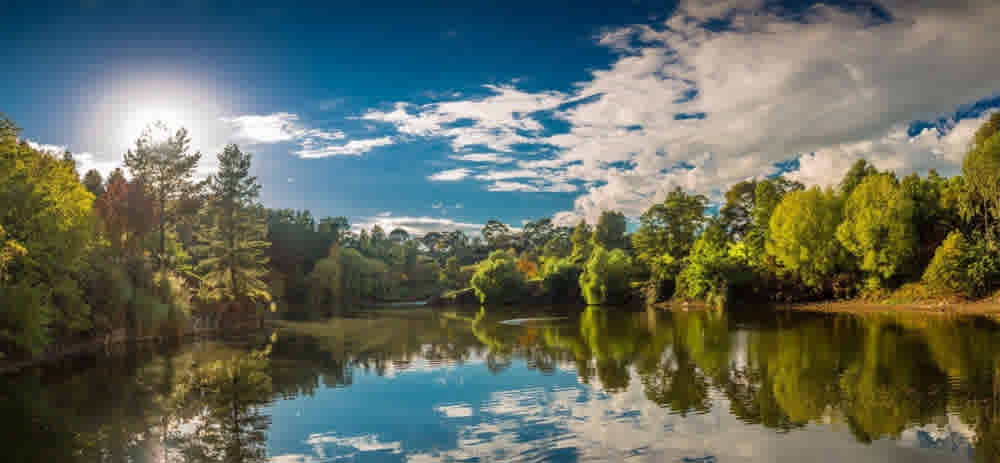 Suburb Property Profile: Berwick VIC 3806