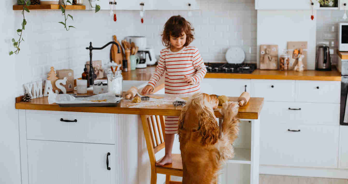 Home Renovation Tips: Keeping Your Kids And Pets Safe