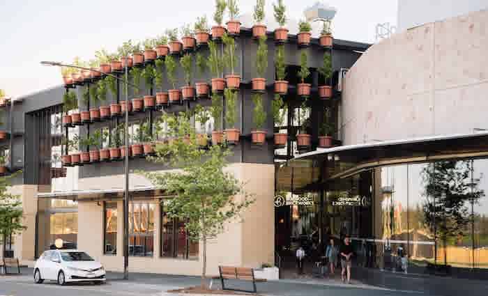 Burwood Brickworks donating urban farm produce