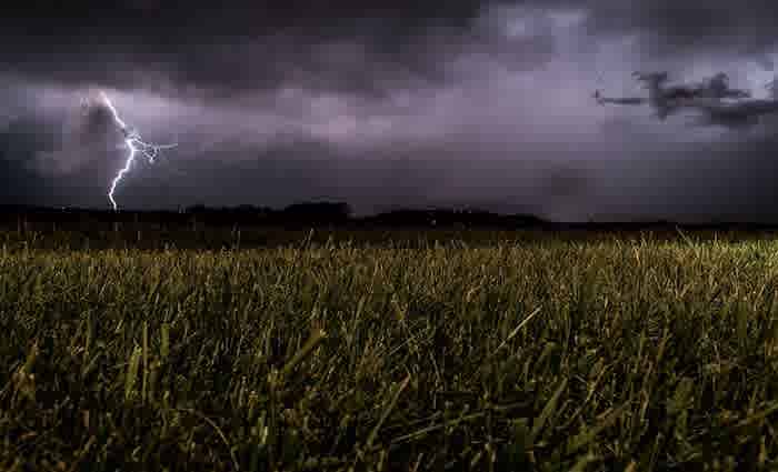 Lismore expected to see lower production levels in 2020: HTW rural