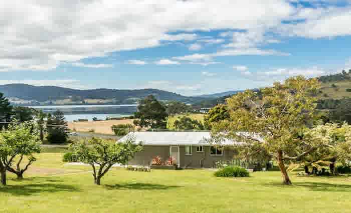 Investor activity in Tasmania increases: HTW