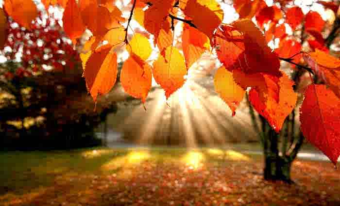 End of financial year to drive autumn property markets: Angus Raine