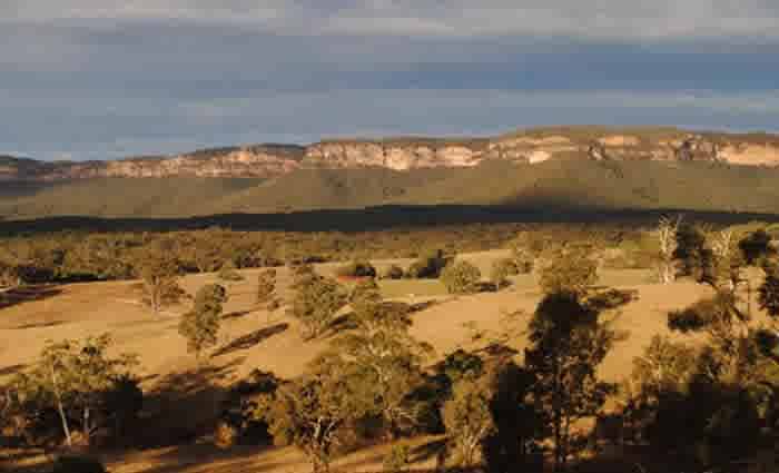Dry winter primes Sydney Basin for early start of bushfire season