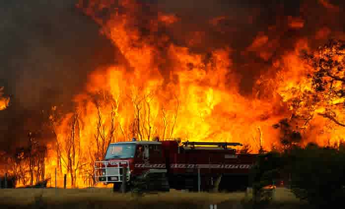 Saving homes, saving wildlife: Victoria ditches burnoff targets