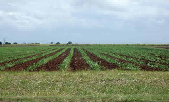 Why yet another visa for farm work makes no sense: Stephen Howes