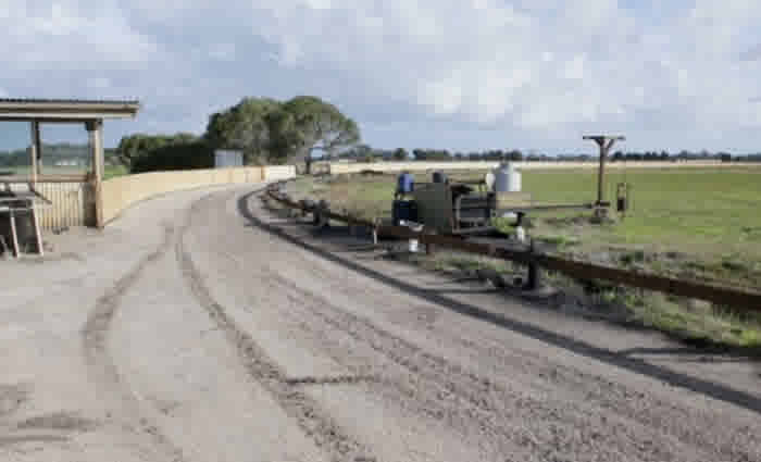 Victorian greyhound track in Four Corners spotlight listed for sale