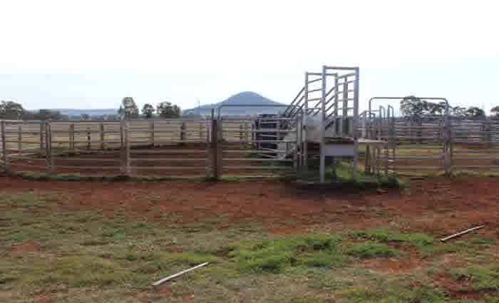 Slower winter property sales across NSW North West Plains