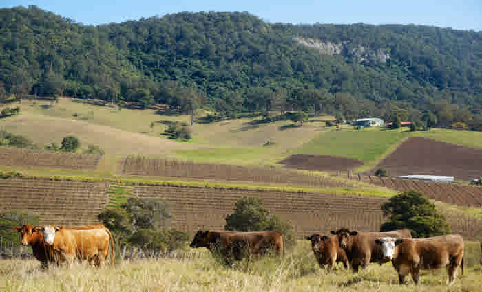 Hunter coalfield towns see falls in land values, but Newcastle residential values up 14 percent: NSW Valuer-General